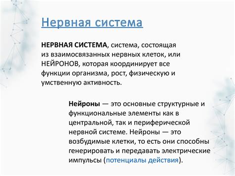 Диффузная нервная система. Стрекающие, или книдарии - online presentation