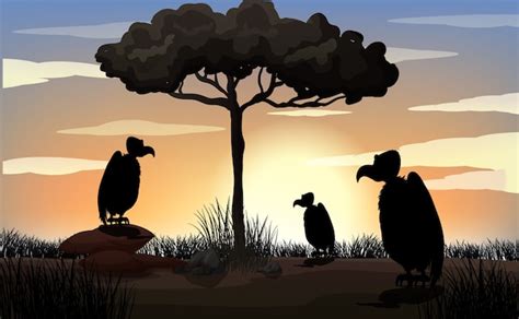 Outdoor nature silhouette sunset scene | Free Vector