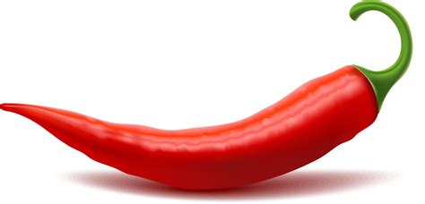 Red Hot Chili Pepper Realistic D Royalty Free Vector Image