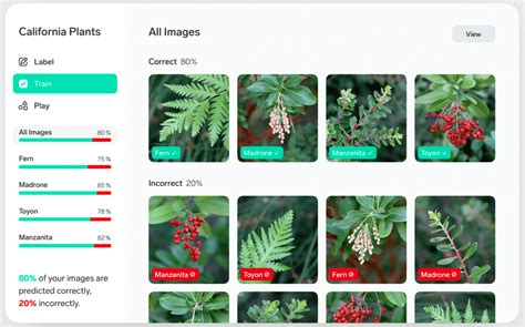 Microsoft unveils FREE app to create AI models without writing any code