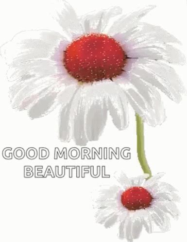 Good Morning Beautiful Gif Images Hd - Infoupdate.org