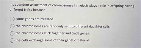 Solved Independent Assortment Of Chromosomes In Meiosis