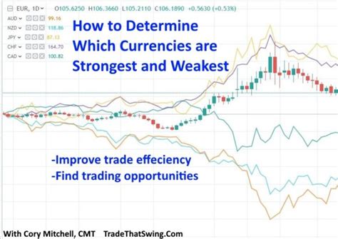 Trade That Swing Stock And Forex Trading Education And Analysis