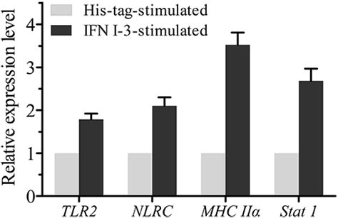 Frontiers Transcriptome Analysis Of Immune Response Of Migm B