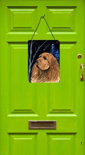 Carolines Treasures Ss8391ds1216 Starry Night Sussex Spaniel Wall Or Door Hangi 16hx12w Kroger