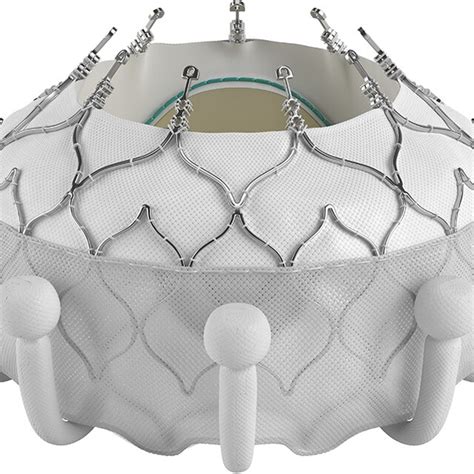 The Evoque Transcatheter Mitral Valve Edwards Lifesciences Llc