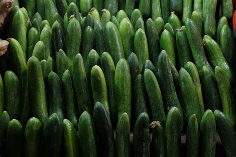 Огурцы и еще два десятка продуктов подорожали в Тверской области за неделю