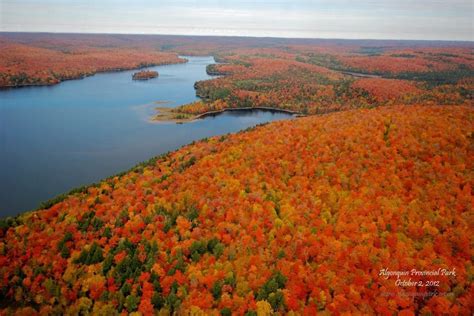 Algonquin Park Fall 2012, Ontario, Canada. : natureporn