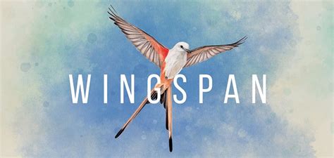 WINGSPAN (КРЫЛЬЯ) | ВИНГСПАН v245