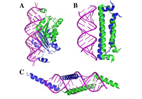 Dsrna Binding Proteins With Different Sirna Binding Modes A D