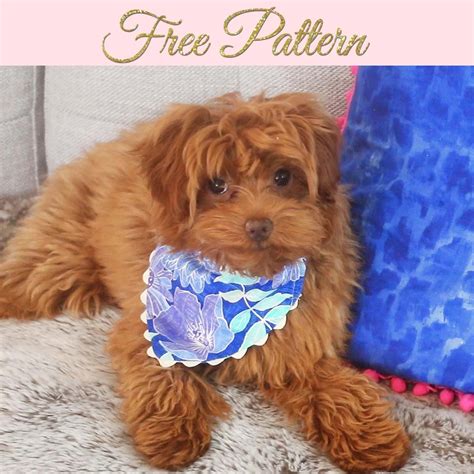 Dog Bandana Pattern, Free Printable Template (4 Sizes) EASY! | TREASURIE