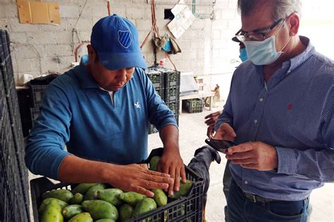 Puebla indemniza a más de 3 mil productoras y productores agrarios