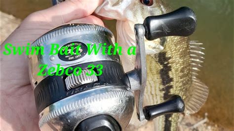 Swim Bait With A Zebco Creekfishing Spottedbass Bassfishing