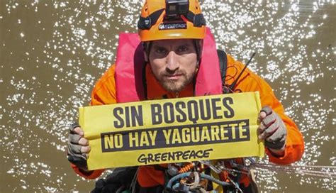 Activistas Se Cuelgan De Un Puente En Protesta Por La Deforestaci N En