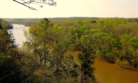 Natural Solutions And A Clean Water Future Coastwatchcoastwatch