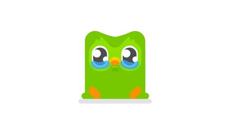 Duolingo owl - tropicalposa