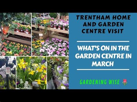 Trentham garden centre tour~ What plants are available in the Garden ...