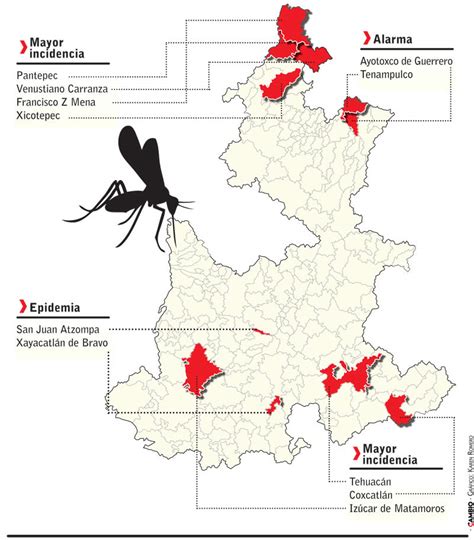 Declara Ssa Alerta Epidemiológica Por Dengue En Dos Municipios Poblanos