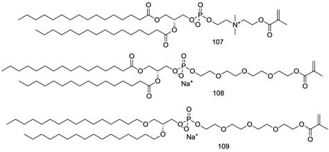 The Examples Of The Phospholipids With The Polymerizable Groups Placed