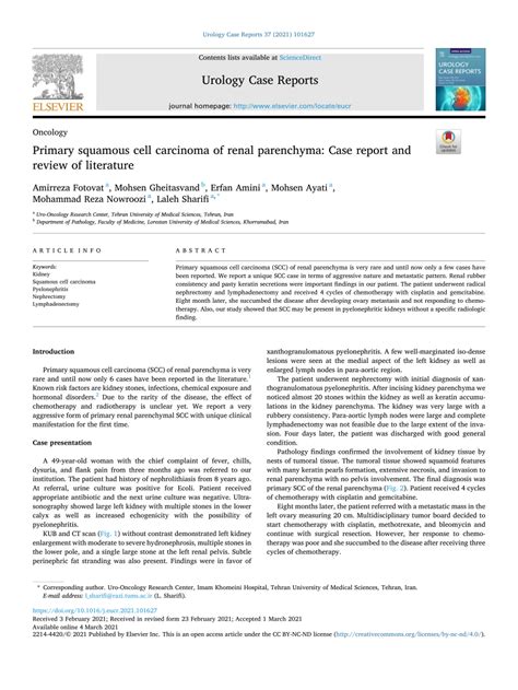 Pdf Primary Squamous Cell Carcinoma Of Renal Parenchyma Case Report