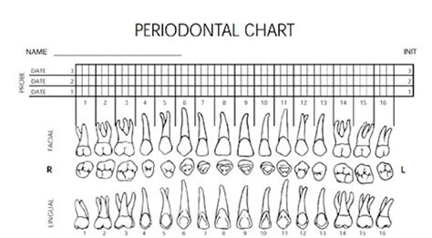 Printable Perio Charting Form