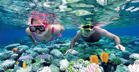 Snorkeling Experience In Nusa Penida 4 Snorkeling Spots Klook