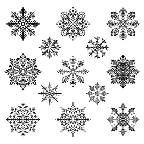 Snowflake silhouette vector — Stock Vector © photos #6190096