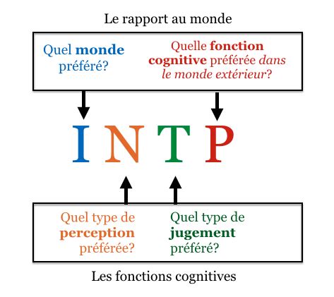 La Logique Du Mbti Comprendre La Hi Rarchie Des Fonctions Th Ophile