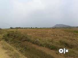 Agriculture Land For Sale Properties For Sale Rent In Vidyanagar OLX