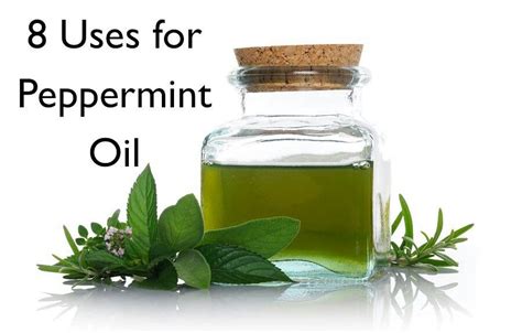 Peppermint Oil Peppermint Oil Uses Peppermint Essential Oil