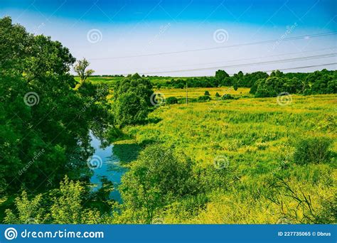 Paisagem Florestal Fluvial Imagem De Stock Imagem De Calmo 227735065