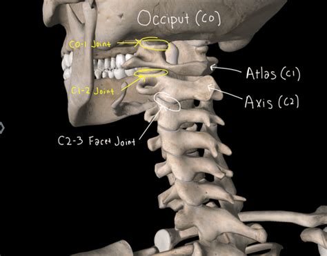 Cervicogenic Headache Exercises - Treat That Killer Headache With These ...