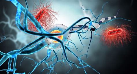 What are the causes of Tourette syndrome?