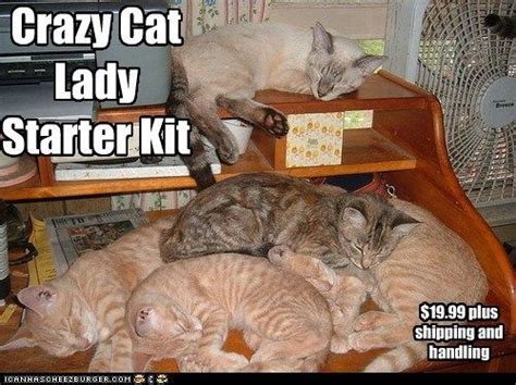 Crazy Cat Lady Starter Kit Silly Cats Crazy Cats Cats And Kittens