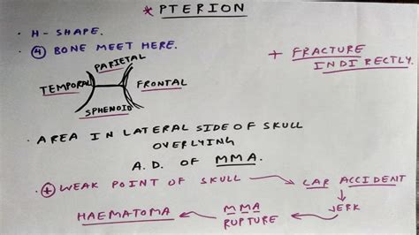 Pterion and its clinical - YouTube