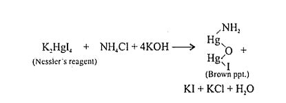 Nessler S Reagent Definition Formula And Uses Off