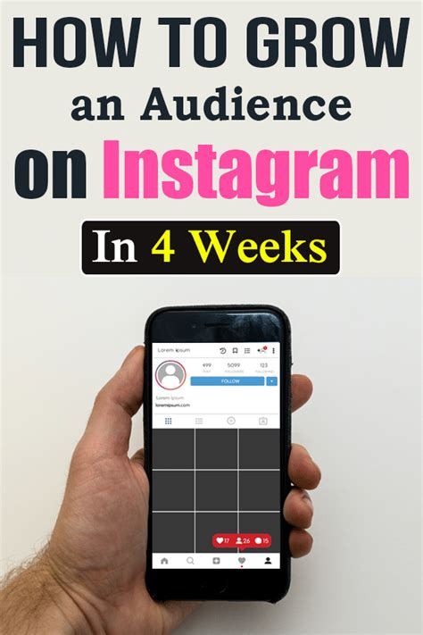 How To Grow An Audience On Instagram In 4 Weeks Get Plus Followers