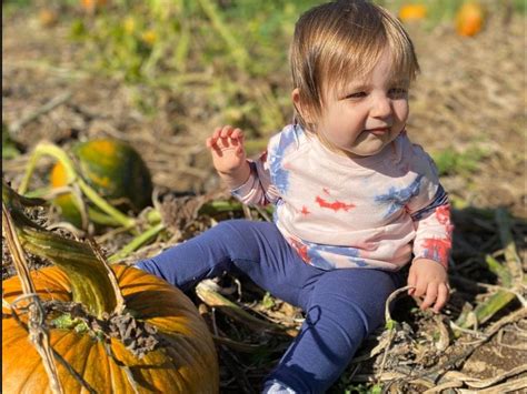 Find The Best Pumpkin Patches Near Queens Queens Ny Patch