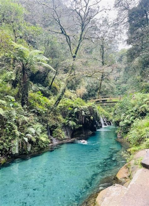 Pancho Poza Un Para So Natural Poco Conocido De Veracruz