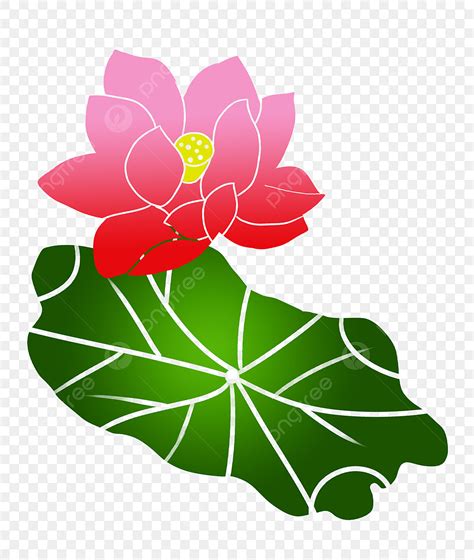 Lotus Plant Clipart PNG Images Flower Plant Lotus Illustration Flower