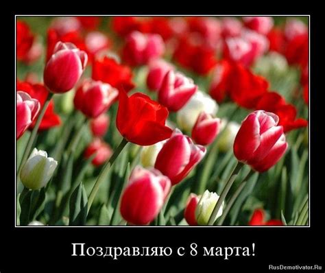 Демотиватор: Поздравляю с 8 марта!