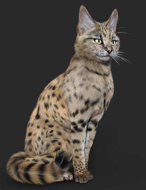 Savannah For Cat Mars Daz Content By Vyusur