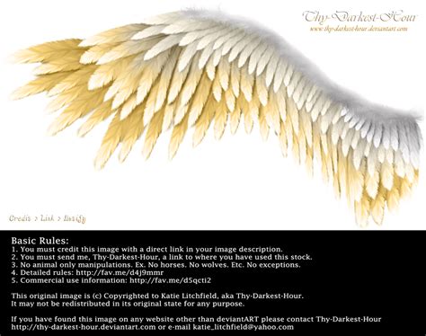 Winged Perfection - Pink-Blue by Thy-Darkest-Hour on DeviantArt