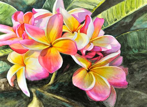 Plumeria Painting At Explore Collection Of