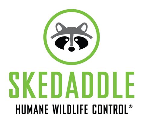 Own The 1 Humane Wildlife Removal And Pest Control Franchise