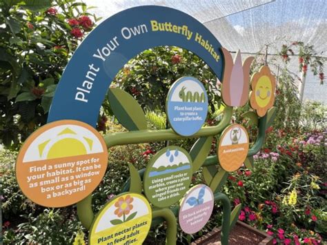 Butterfly Garden Opens At 2023 EPCOT Flower And Garden Festival – World ...