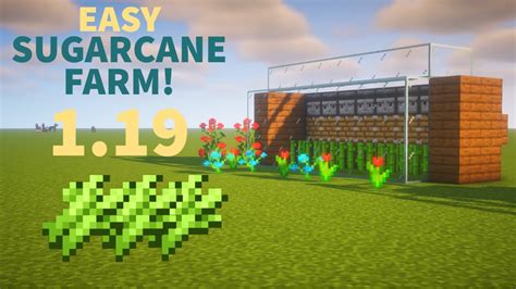 How To Build Simple Sugarcane Farm In Minecraft 119 Or Above