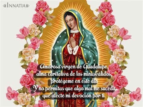 Frases E Imágenes De La Virgen De Guadalupe Con Frases Para Descargar