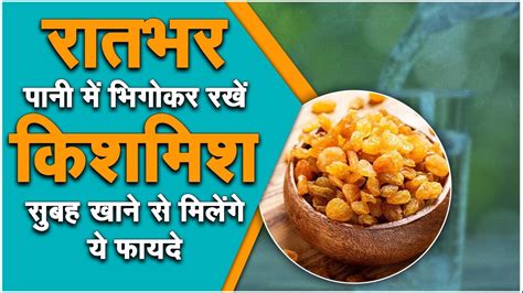 रातभर पानी में भिगोकर रखें किशमिश सुबह खाने से मिलेंगे ये फायदे Sadhna Health Youtube