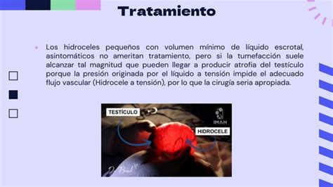 Hidrocele Y Espermatocele Pptx